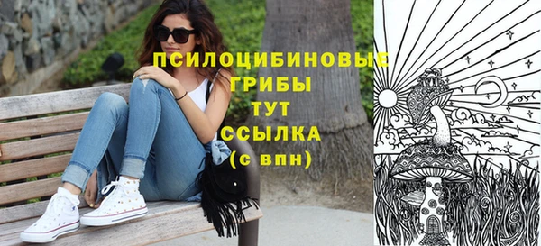 apvp Новодвинск