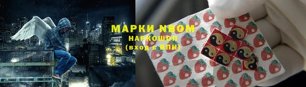 ECSTASY Новозыбков