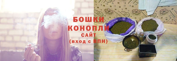 ECSTASY Новозыбков
