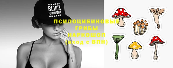apvp Новодвинск