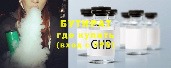 прущие крисы Болотное