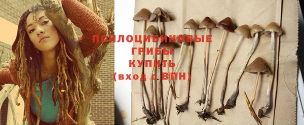 кокс Беслан