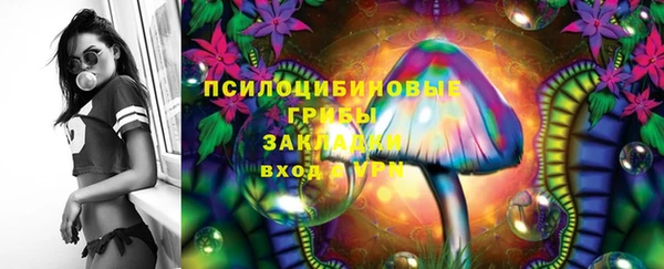 apvp Новодвинск