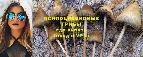 а пвп мука Болохово