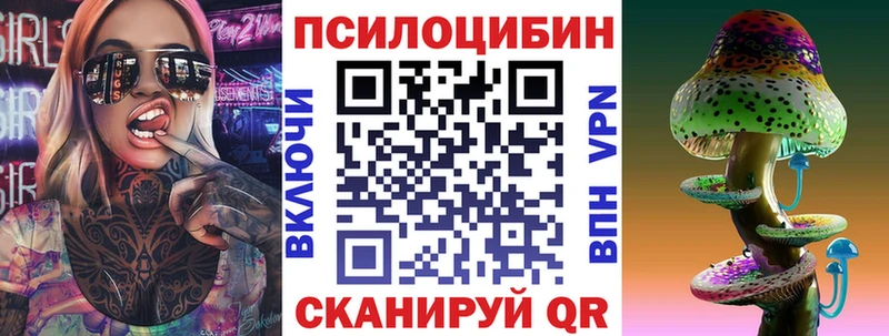 mega ТОР  как найти закладки  Трубчевск  Псилоцибиновые грибы GOLDEN TEACHER 
