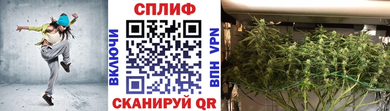 ссылка на мегу ссылка  где продают наркотики  Трубчевск  МАРИХУАНА индика 